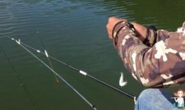 新瓜最新爆料钓鱼视频大全,钓鱼视频大全深度解析